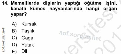 Soru 14