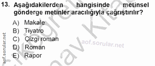 Soru 13
