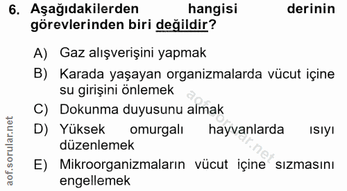 Soru 6