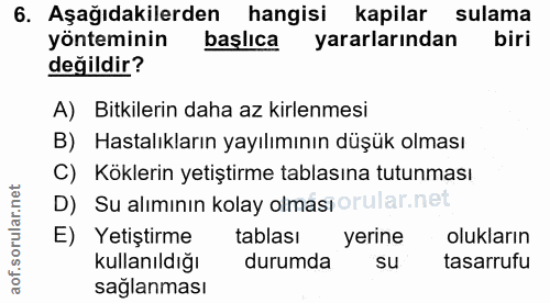 Soru 6