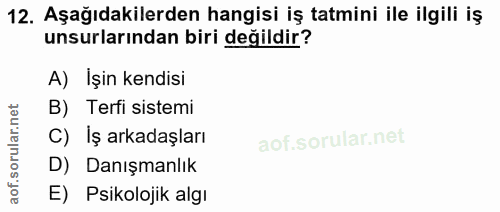 Soru 12