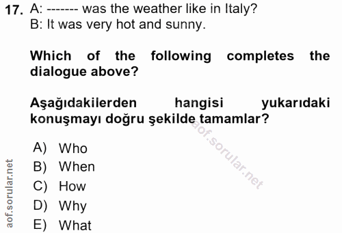 Soru 17