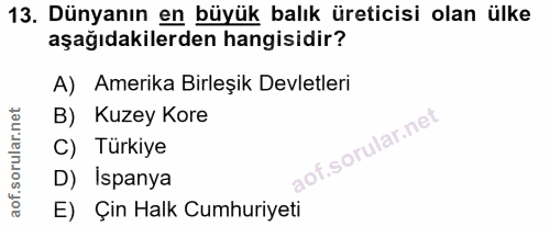 Soru 13