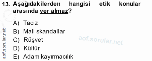 Soru 13