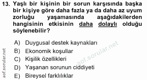 Soru 13
