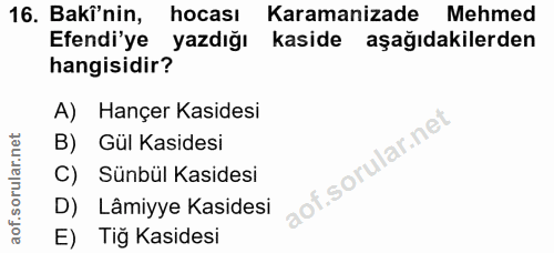 Soru 16