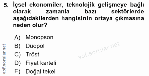 Soru 5