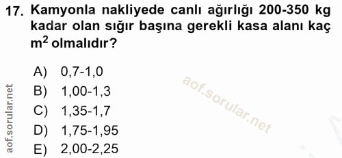Soru 17