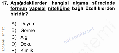 Soru 17