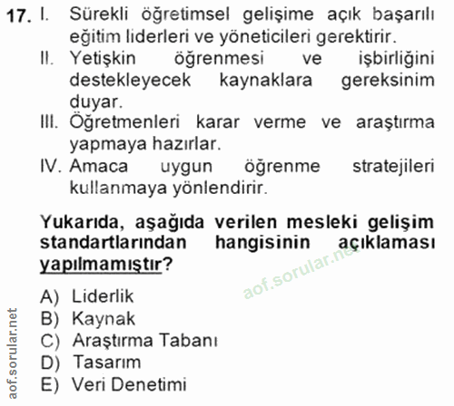 Soru 17