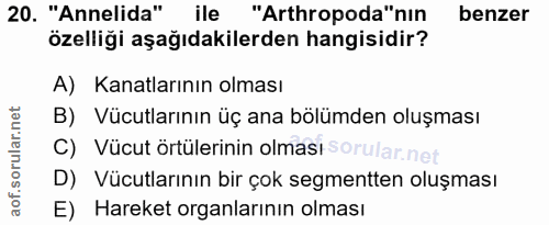 Soru 20