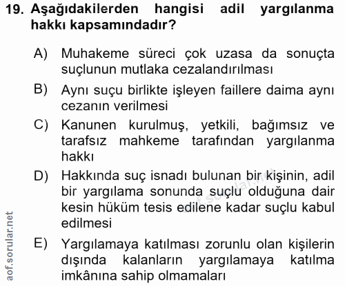 Soru 19