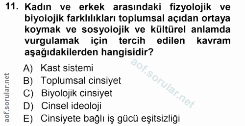 Soru 11