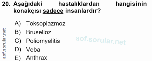 Soru 20