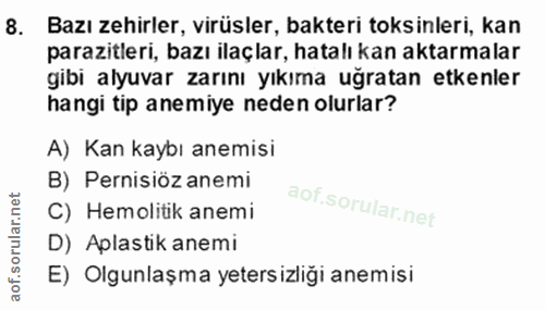 Soru 8