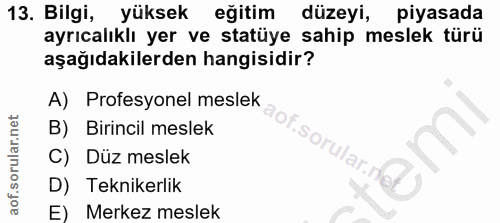 Soru 13