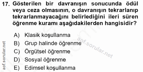 Soru 17