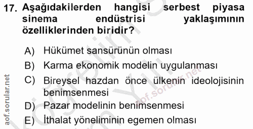 Soru 17