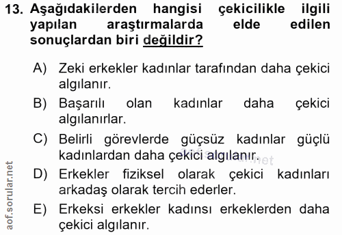 Soru 13