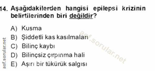 Soru 14