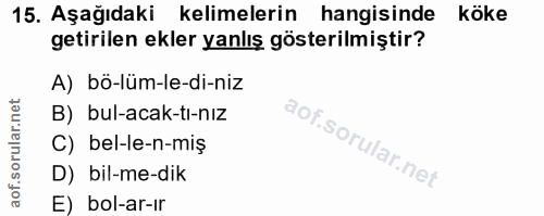Soru 15