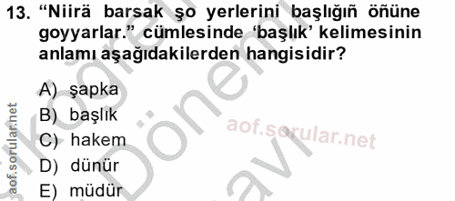 Soru 13