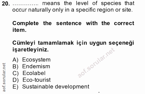 Soru 20