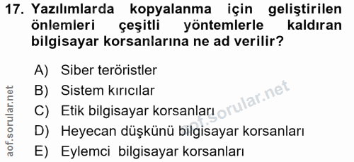 Soru 17