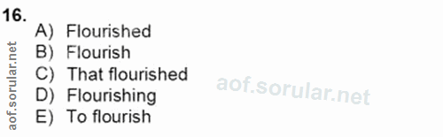 Soru 16