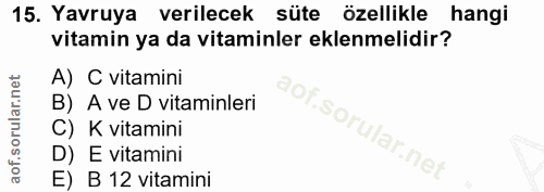 Soru 15