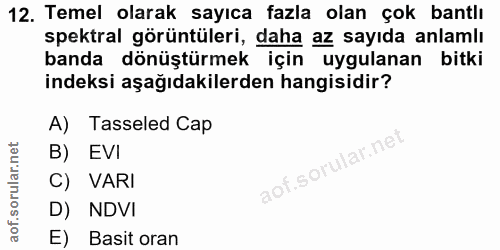 Soru 12