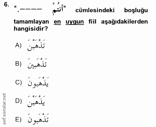 Soru 6