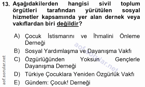 Soru 13