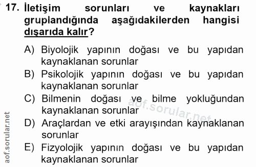 Soru 17