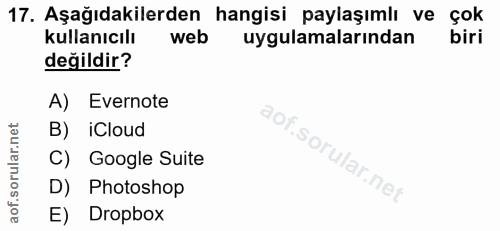 Soru 17