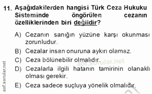 Soru 11