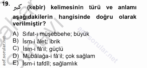 Soru 19