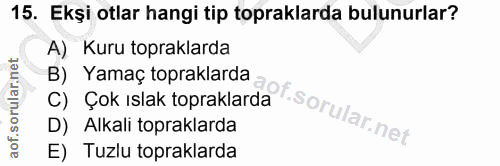 Soru 15