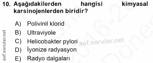 Soru 10
