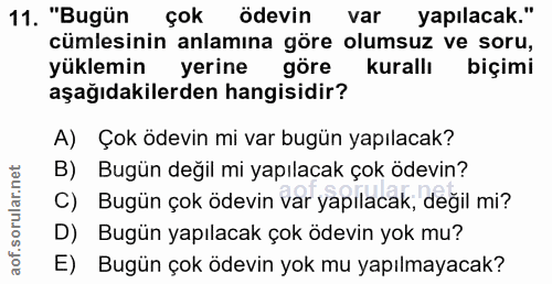 Soru 11