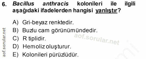 Soru 6