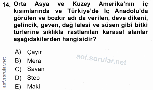 Soru 14
