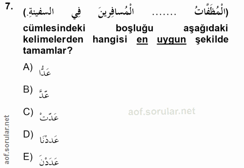 Soru 7