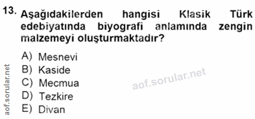 Soru 13