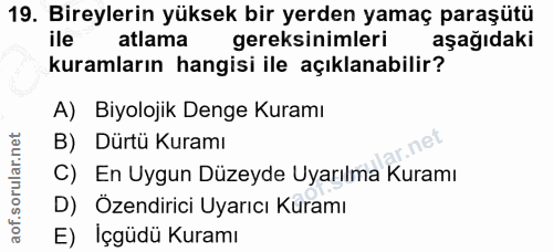 Soru 19