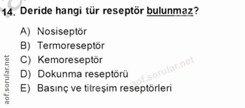 Soru 14
