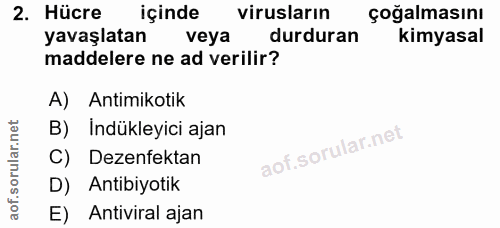 Soru 2
