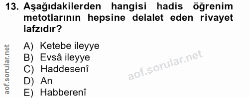 Soru 13