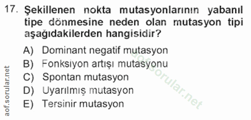 Soru 17