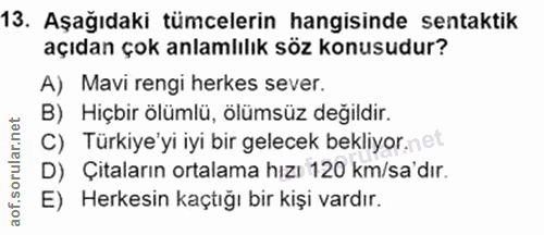 Soru 13